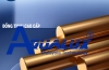 VÒI XỊT VỆ SINH ĐỒNG THAU AQHT004