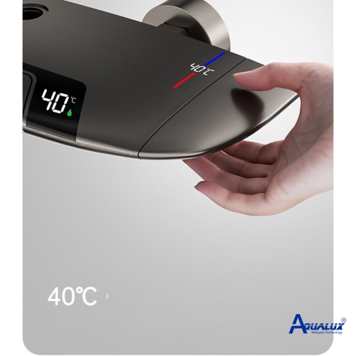SEN CÂY PHÍM ĐÀN HIỂN THỊ NHIỆT ĐỘ AQKT186