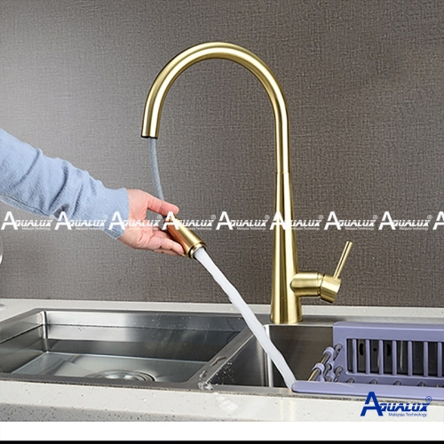 VÒI RỬA CHÉN NÓNG LẠNH MẠ VÀNG AQBL03