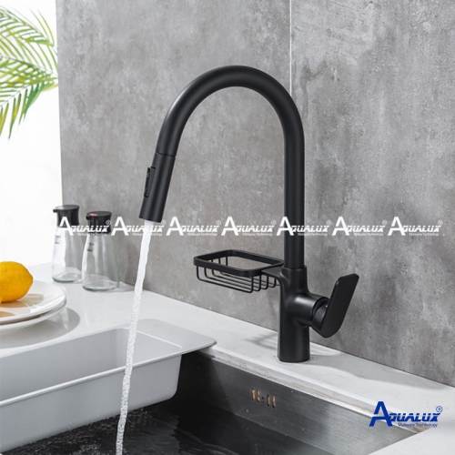 VÒI RỬA CHÉN NÓNG LẠNH AQKT454D
