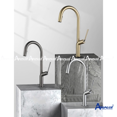 VÒI RỬA CHÉN NÓNG LẠNH AQSTY4063